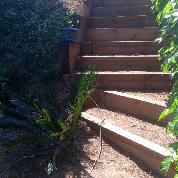 CREACION JARDIN