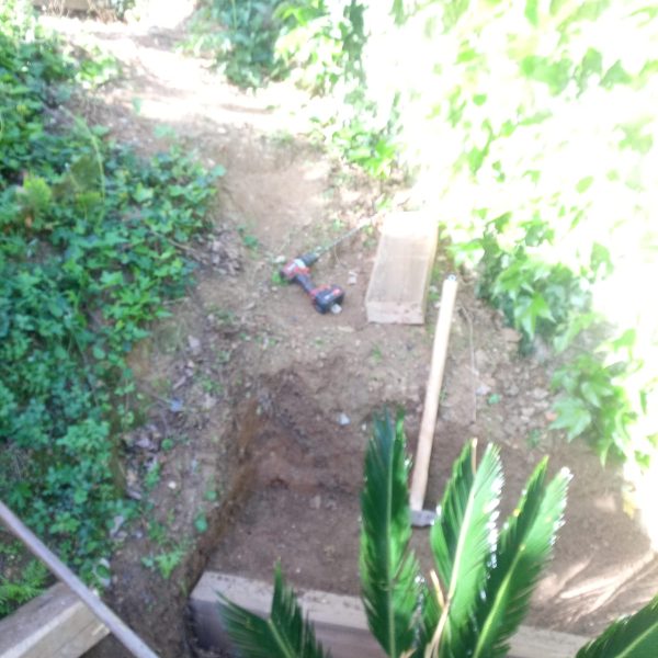 CREACION JARDIN(1)