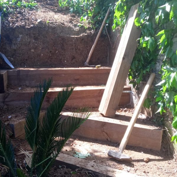 CREACION JARDIN(2)