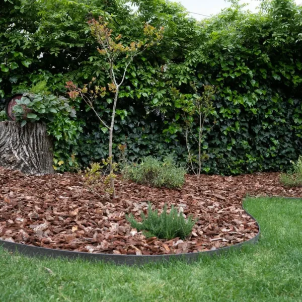 CREACION JARDIN(3)